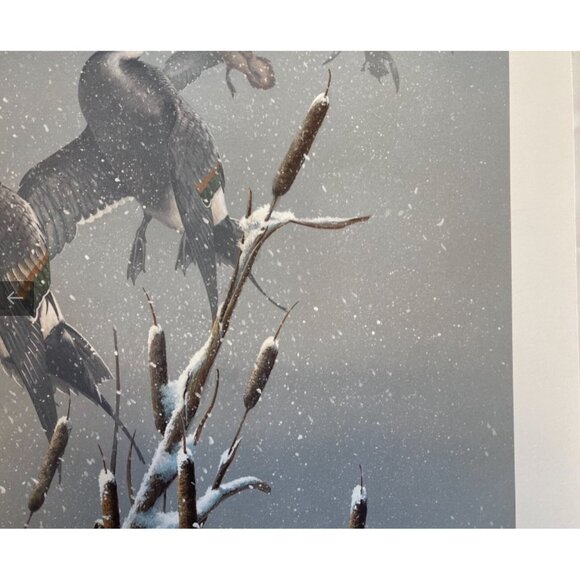 Phillip Crowe Snowy Refuge Signed Limited Edition Offset Lithograph Print - Picture 7 of 12